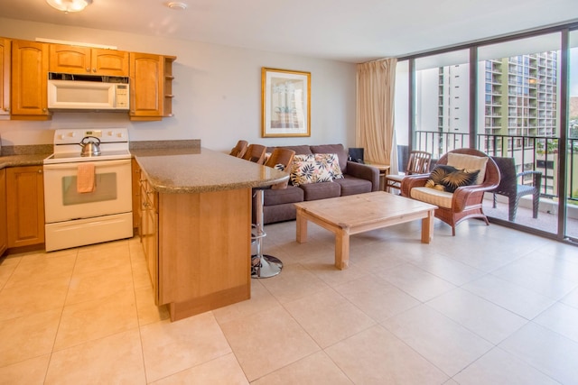 ワイキキ バンヤン - プール ビュー タワー 1 スイート 911