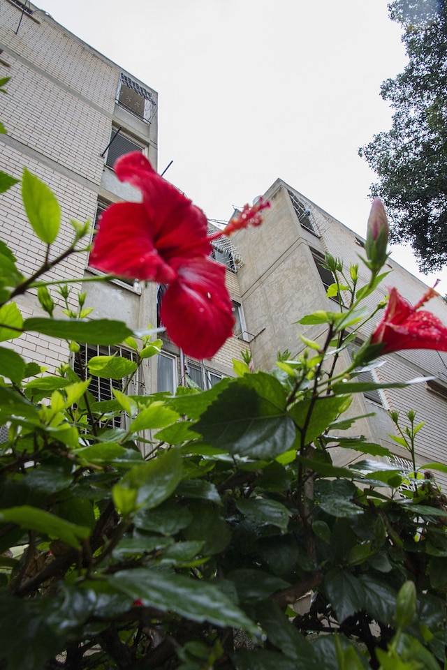 KV アパートメンツ - ニア アスタ コラジム ストリート