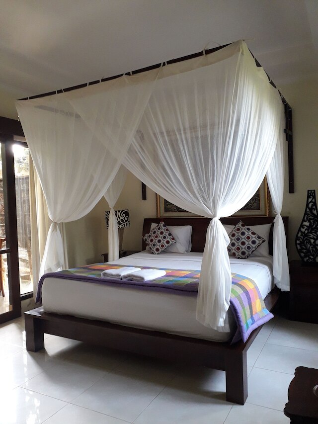 ウィディ ハウス