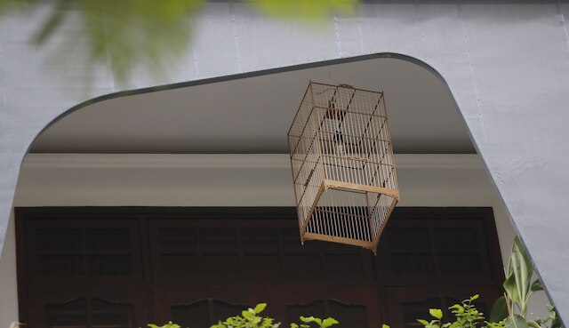 パープル フエ BnB セントラル ハブ