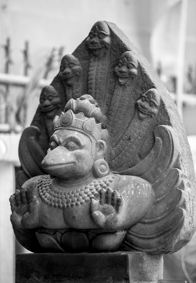 パープル フエ BnB セントラル ハブ