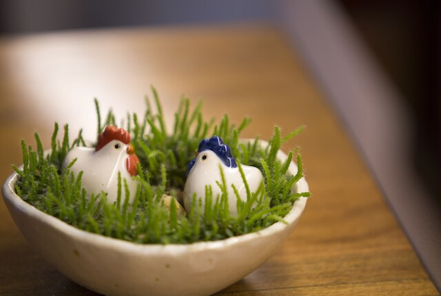 パープル フエ BnB セントラル ハブ