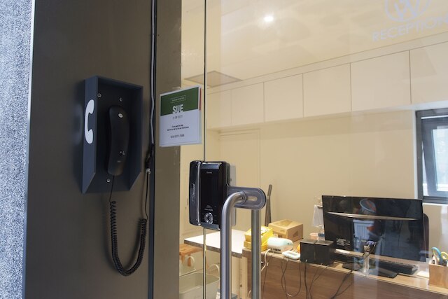 DW ステイ ホンデ