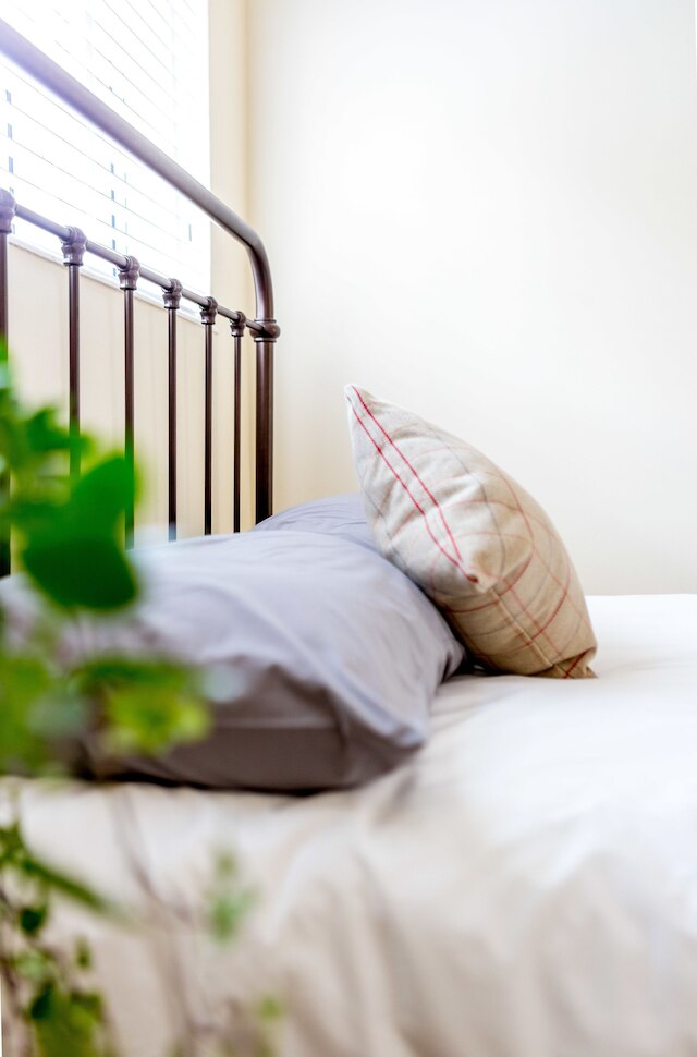 ローガン ミューズ バイ ライム ストリート