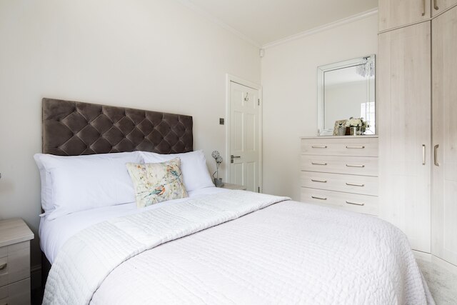 スター ストリート バイ ライム ストリート