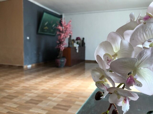 アルタ ガーデン ゲストハウス & ホステル