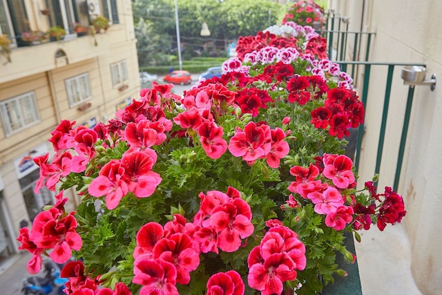 ベター & ベター