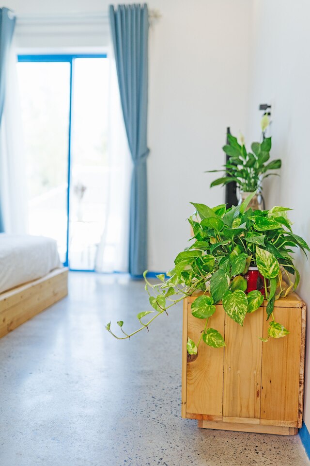 サントリ ホームステイ ホイアン