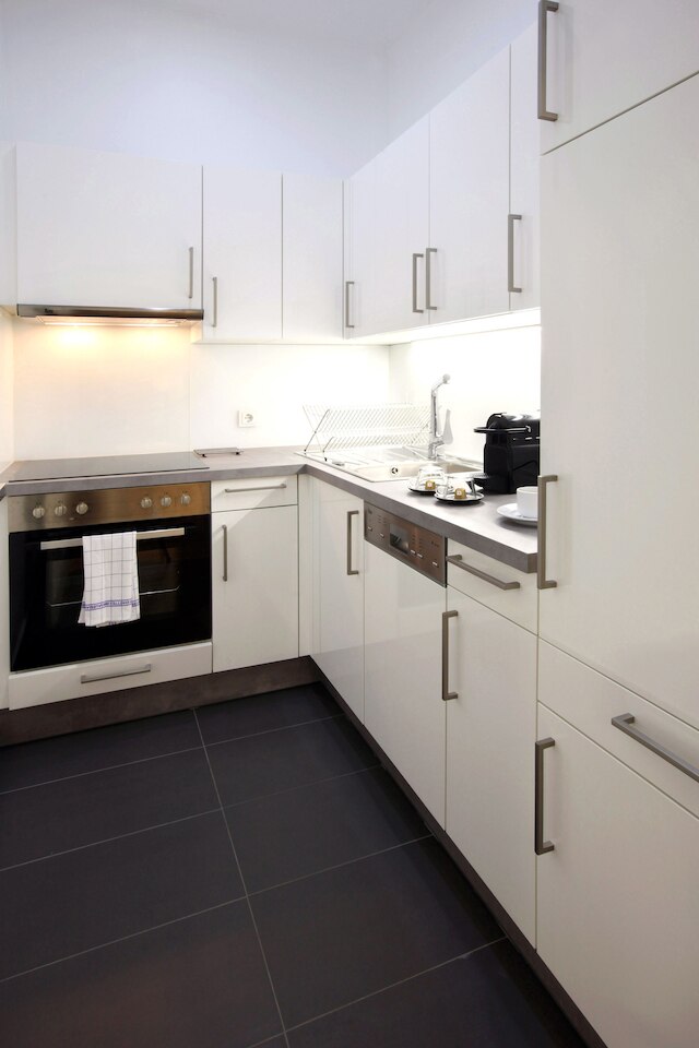 シュタイナー レジデンシズ ウィーン アウガルテン