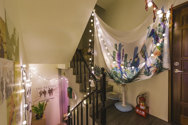 ノー サン ノー パッピー イン