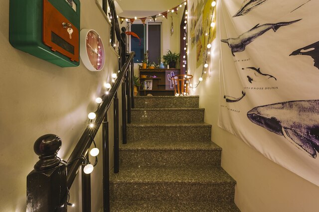 ノー サン ノー パッピー イン