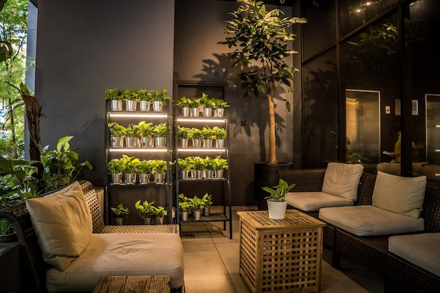 Z ホテル ジョホール