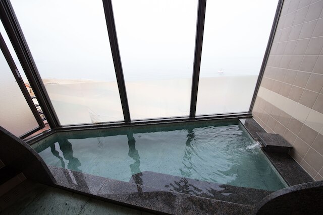 シーアイガ海月