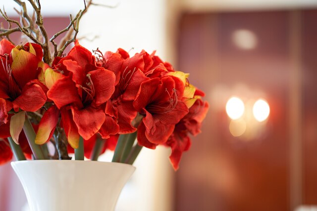 ゴールドン ホテル & スイート