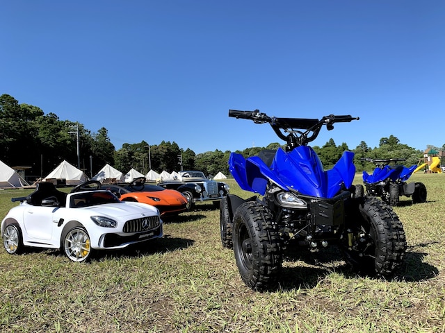 BUB RESORT Chosei Village