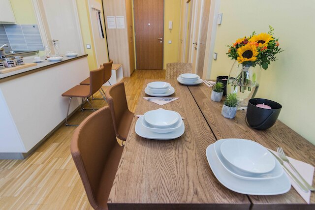 ラグジュアリー センター アパートメント バイ ミハャル & フレンズ