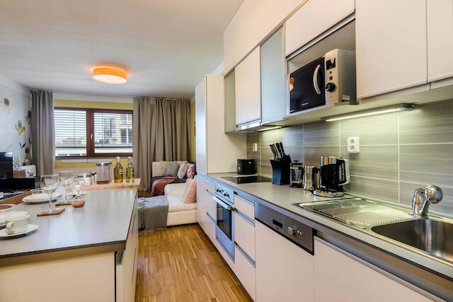 ラグジュアリー センター アパートメント バイ ミハャル & フレンズ