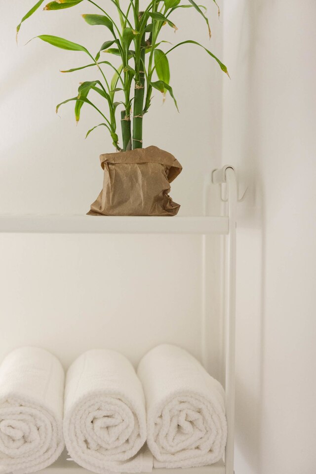 パストラル アト ザ ハート オブ ロスチャイルド ブルーバード