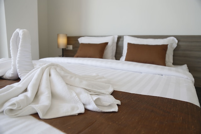 メコンビュー 3 コンドテル