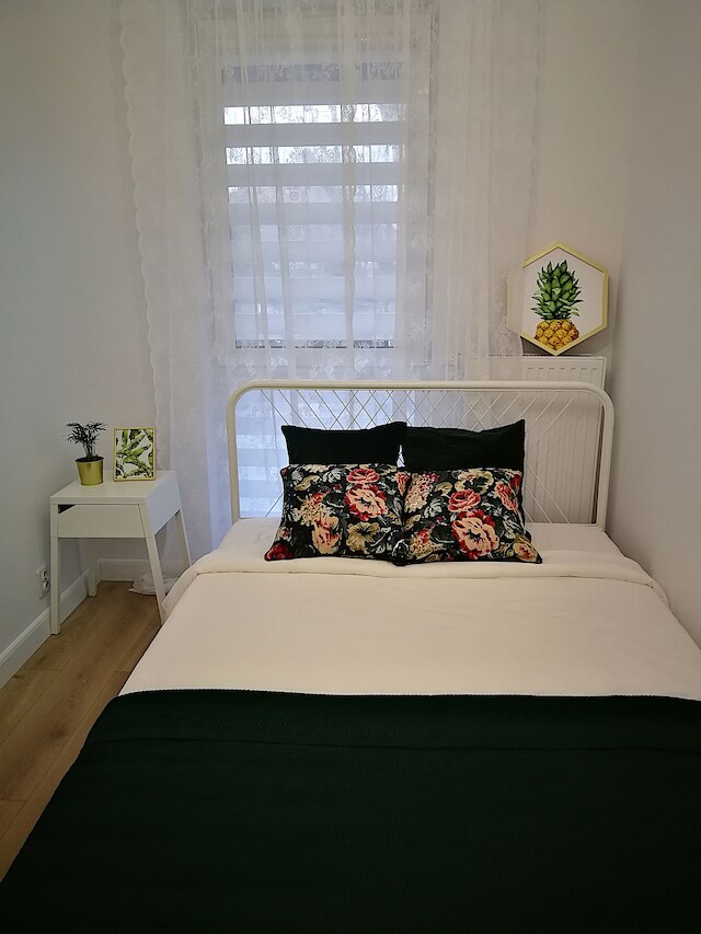 ノバ アパートメンツ ラコウィカ