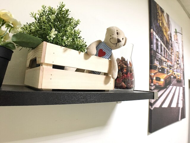 フェンキア サンディエゴ