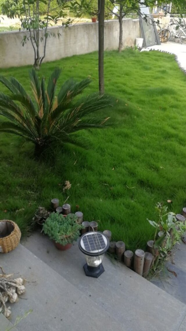 チャオ ム シュエン イン