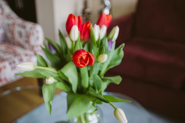 ダウンタウンの中心地にあるエグゼクティブ コンドミニアム