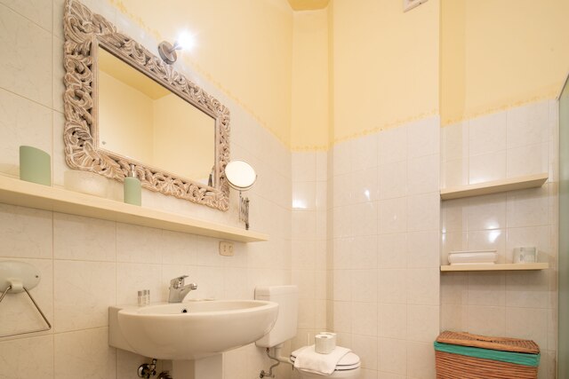 ロマンティック ピッティ バイ メガ