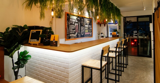 トロピカル サマー ホステル