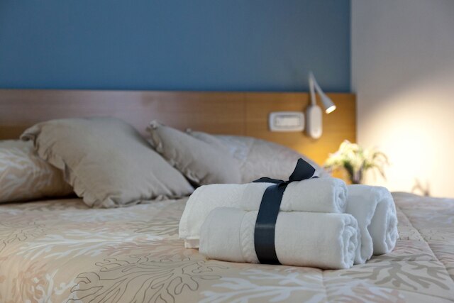 ドムス スキリジ