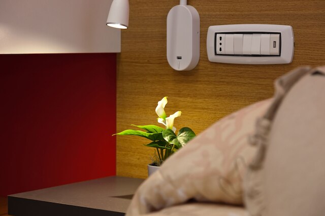 ドムス スキリジ