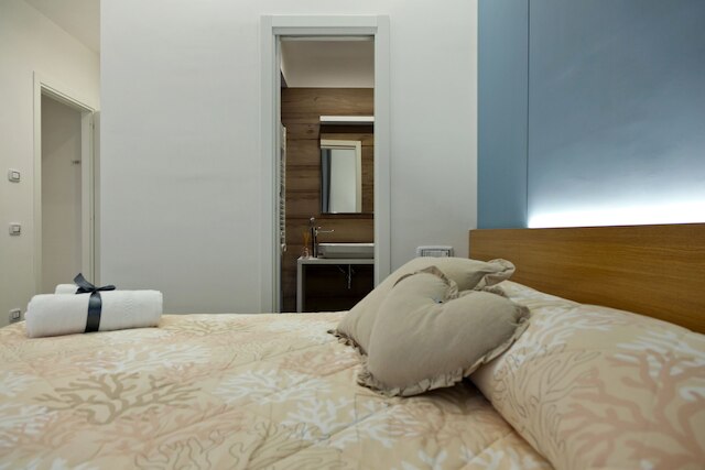 ドムス スキリジ