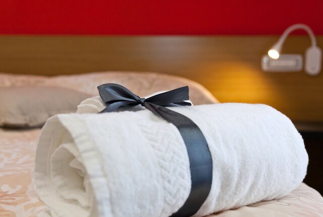 ドムス スキリジ