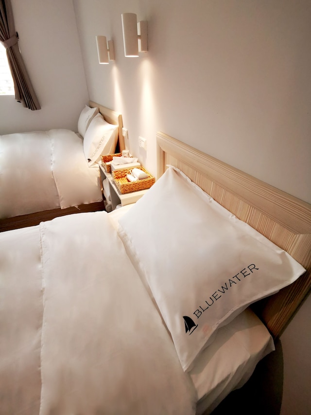 ブルーウォーター ホテル 桃園 (藍水軽旅)