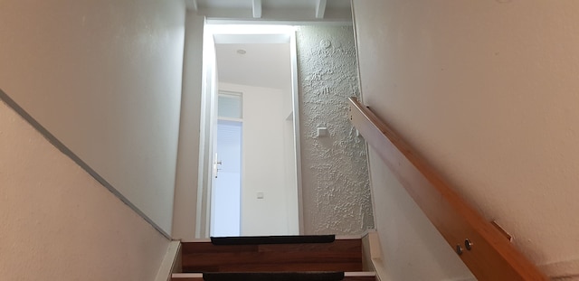 ラブリー シティ ハウス