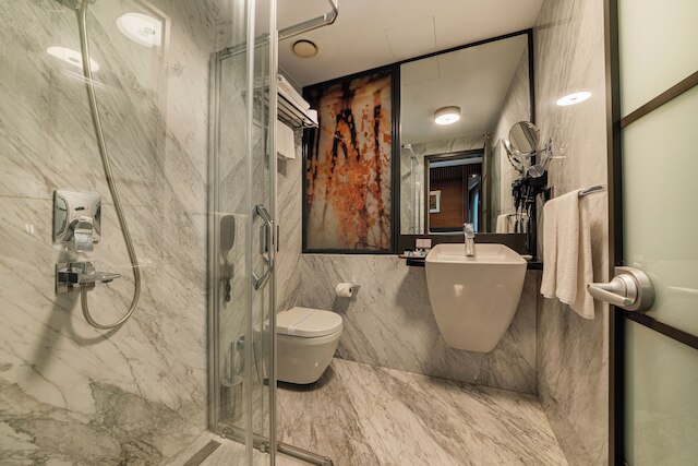 レヴニ プラス ホテル