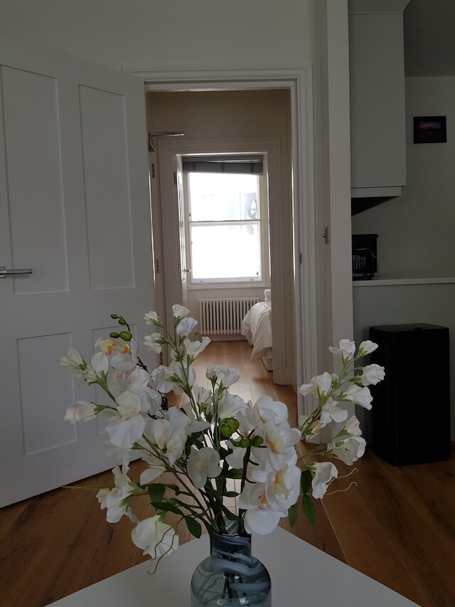 セントラル ブティックス