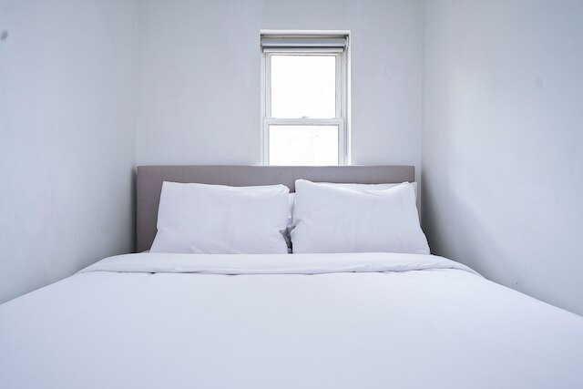 ザ テンプル ステイズ