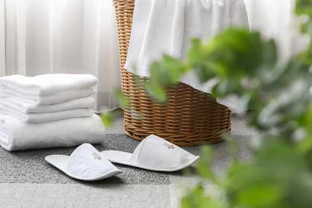 レイクショア ホテル 台南