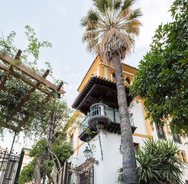 スイーツ ムリージ プラザ サンタ クルス