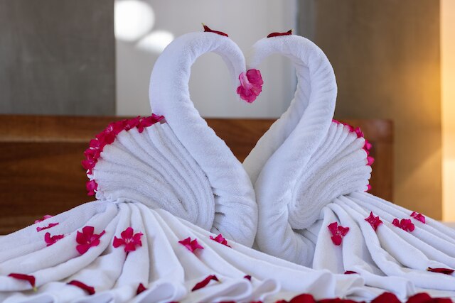 タネイ アンコール リゾート アンド スパ