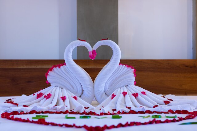 タネイ アンコール リゾート アンド スパ