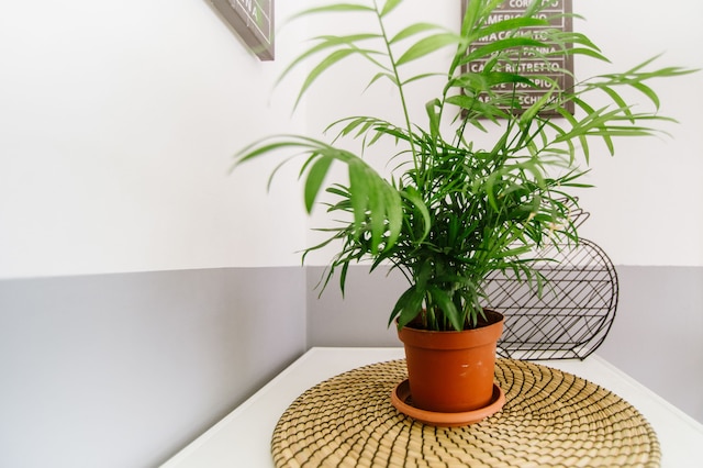 15 ベン イェフダ スタジオズ