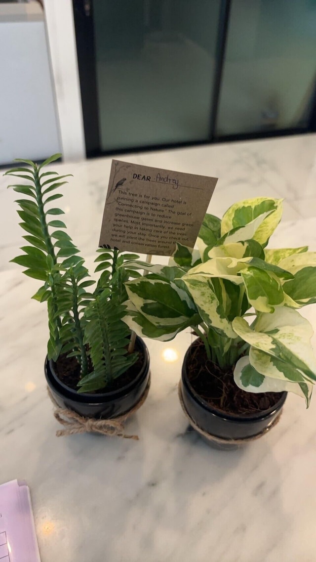 ジ エクスペリエンス ウォーキング ストリート チェンマイ