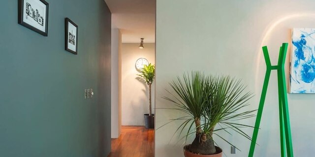 トップ ロケーションポランコ、Mr.W