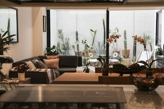 カクタス プライベート テラス、Mr.W