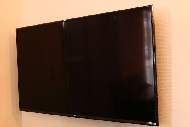 シルバースプレィ 山中湖