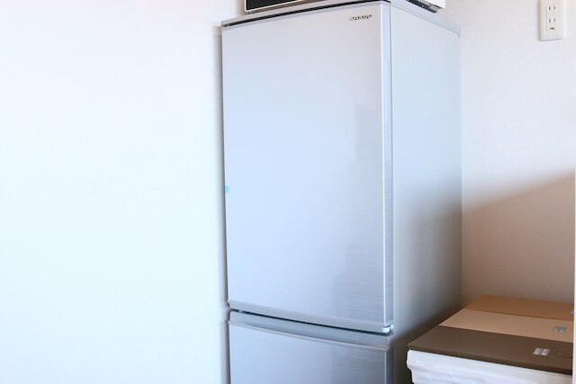 シルバースプレィ 山中湖