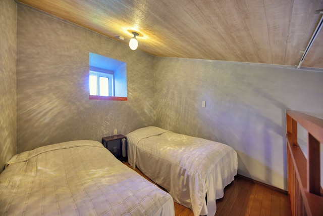 シルバースプレィ 山中湖