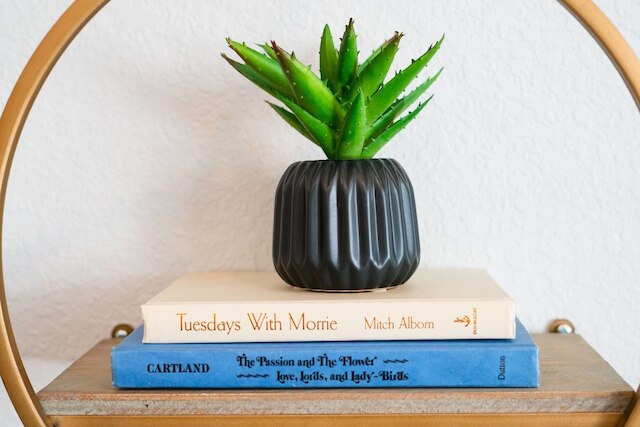 ザ リラクシング シティ エスケープ ウォーク トゥ マイル ハイ